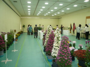 2022年 磐田市芸術祭 菊花展