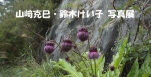 写真展 山﨑克巳「秋の野草」 鈴木けい子「吹き割れの滝」