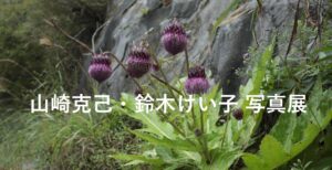 写真展 山崎克己「秋の野草」 鈴木けい子「吹き割れの滝」