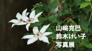 山﨑克巳「夏の山野草」　鈴木けい子「雨の日」写真展