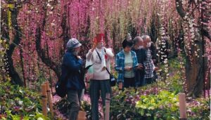 鈴木けい子 写真展